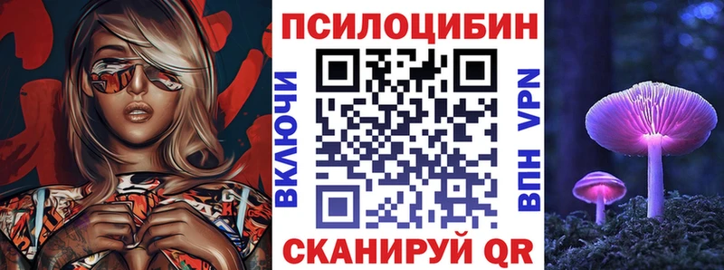 где купить наркоту  Кувшиново  Псилоцибиновые грибы мицелий 